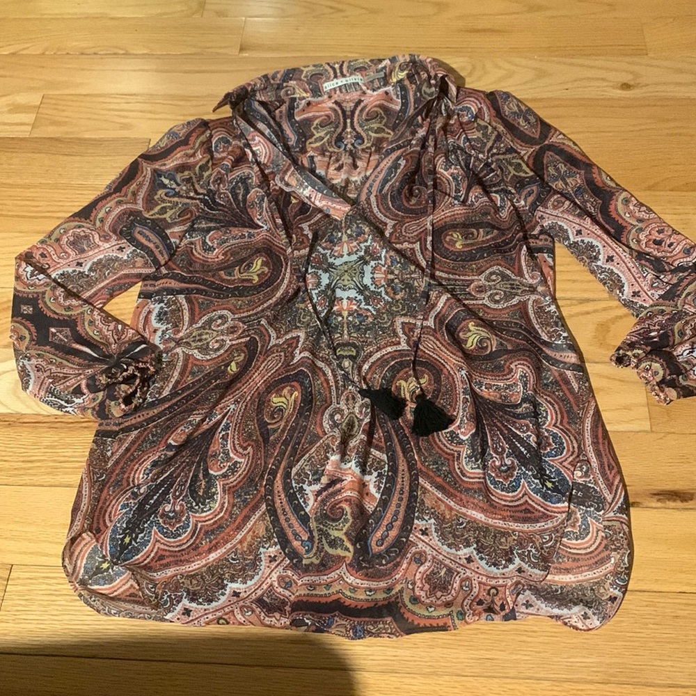 NWOT sheer top